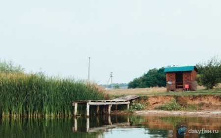 Рыбалка в Кузькино