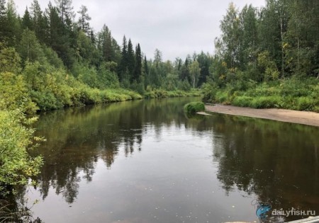Клёвая рыбалка на хариуса