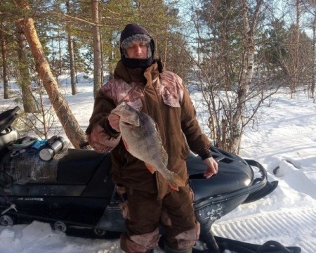 В ХМАО рыбак поймал окуня, который весит почти 3 кг