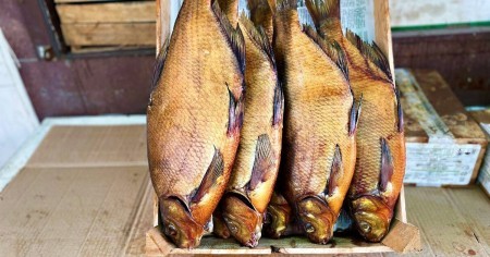 Почему дагестанцы обожают рыбу кутум и сколько она стоит на рынке