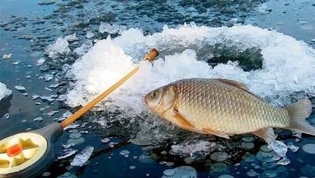 Ловля карася на мормышку зимой