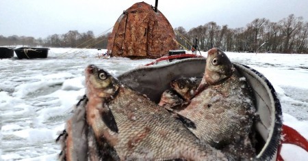 Коромысло: 100% лучшая зимняя снасть для ловли леща