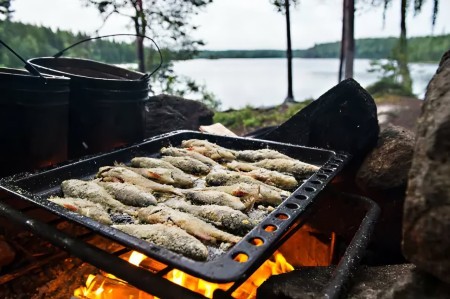 В Роскачестве рассказали, какая рыба лучше всего подходит для жарки на углях на мангале