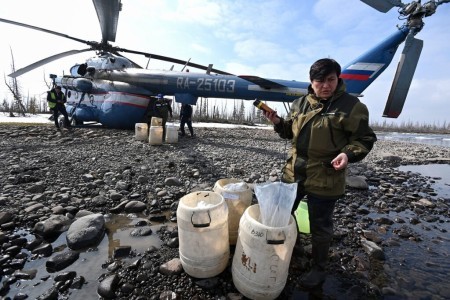 «Норникель» выпустил в водоемы Таймыра около 55 тысяч мальков нельмы: зарыбление обошлось в 10 млн рублей