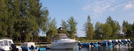 Рыболовно-охотничья база "Удача"