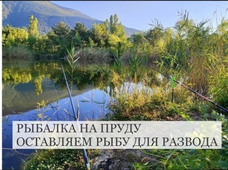 Рыбалка на пруду №1. Рыбу оставиили рости.
