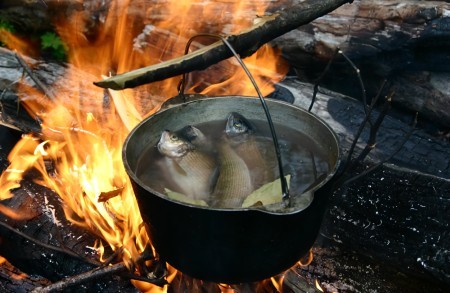 Что нельзя класть в уху – рыбы, от которых стоит отказаться чтобы не испортить вкус