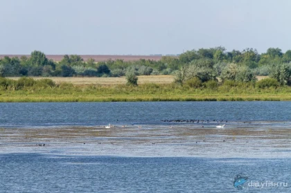 Лебедёвское водохранилище фото