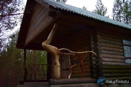 Гостевые домики на озере Ледмозеро фото