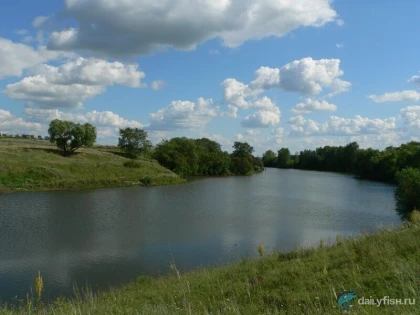 Карякинский средний пруд фото