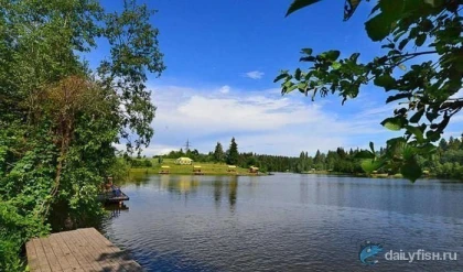 Платная рыбалка на Дубешне фото