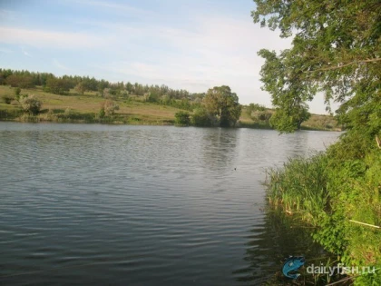 Водохранилище Колос фото