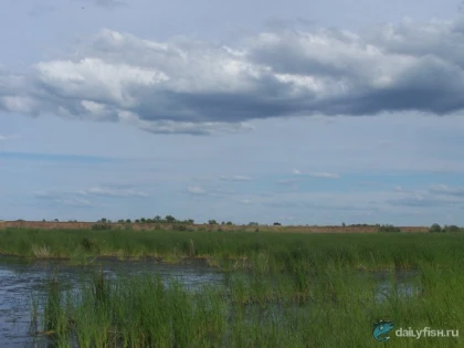 Курдюмский залив фото
