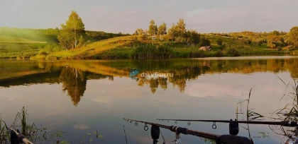 Ленинский пруд фото