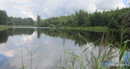 База отдыха "Логи" фото