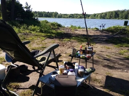 Раменский рыбхоз "Гжелка" фото