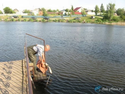Первый пруд Дубки фото
