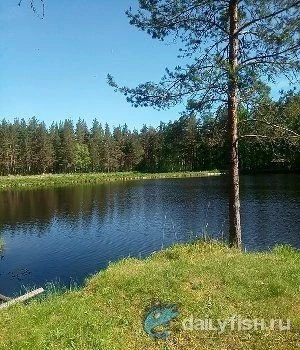 Рыболовный парк Вуохенсало фото