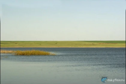 Марьевское водохранилище фото