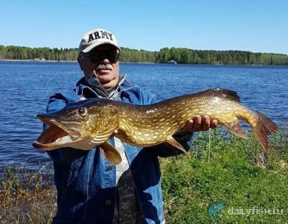 Рыболовный тур на озеро Дербовеж фото