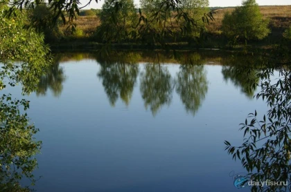 Пруды у Топовки фото
