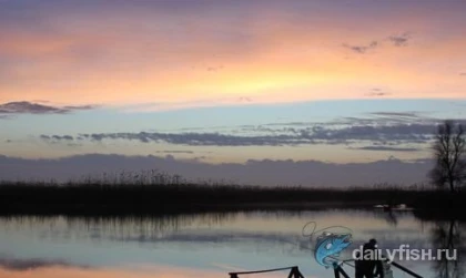 Частная база отдыха "Митричево" фото