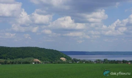 Загородный клуб "Волжская усадьба" фото