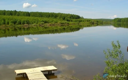 Рыболовное хозяйство "Остроган" фото