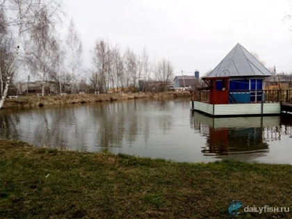 Рыбалка в Заворово фото