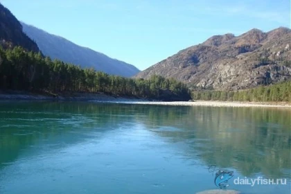 Рыболовный тур на реке Катунь фото