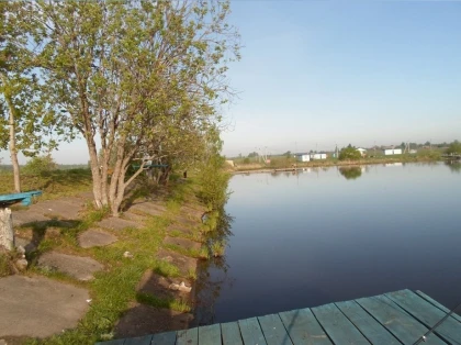 Платная рыбалка Березняки фото