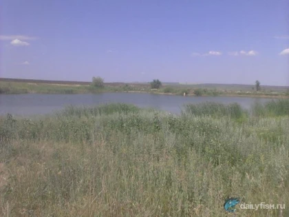 Скатовский пруд фото