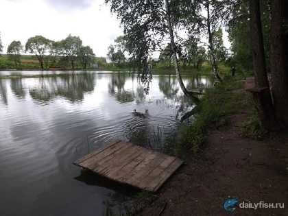 «Flying Fish» в Химках фото