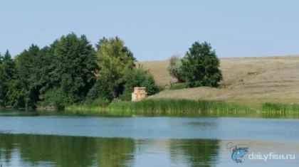 Пруд Рыбушка фото