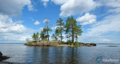 База отдыха "Наше Онего" фото