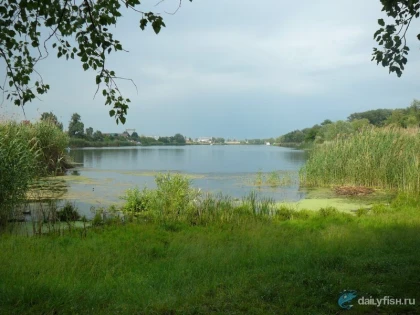 Озеро Сазанка фото