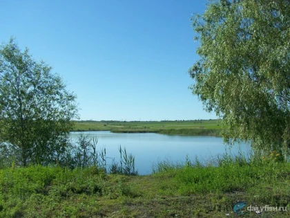 Расловский пруд фото