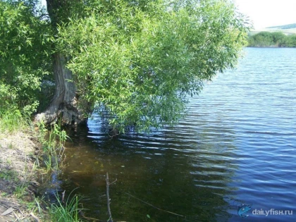 Афанасьевские пруды фото