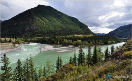 Рыбалка на реках Шавла и Аргут, Алтай фото