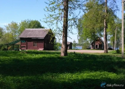 База отдыха "Руднёвка" фото