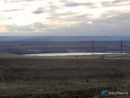 Ниплюхенский пруд фото