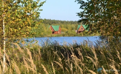 Загородный клуб "Литвиново" фото