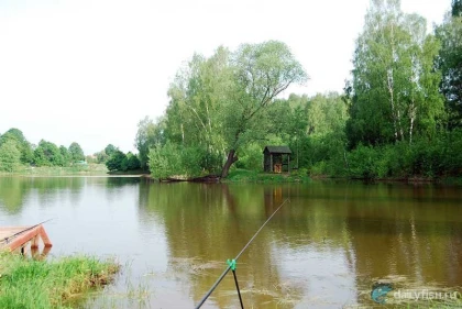 Рыбалка в "Репниково" фото