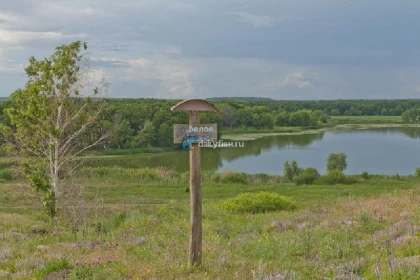 Белое озеро в Саратовской области фото