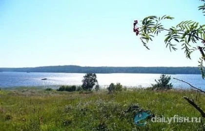Туристический приют "Колгостров" фото