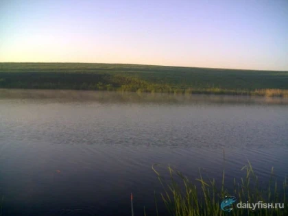 Куликовский пруд фото