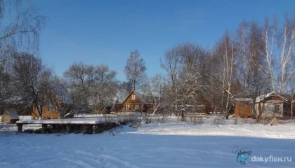 Гостевой дом "Соболево" фото