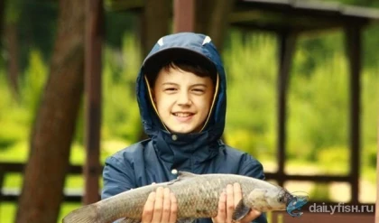 КФХ "Прудцы" фото