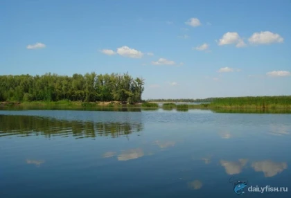 Павловское водохранилище фото