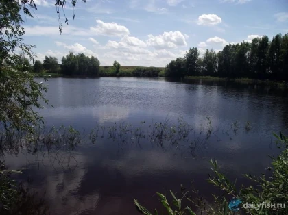 Екатериновское водохранилище фото